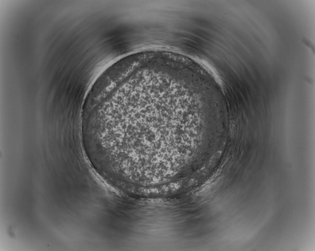 X0000094380903200711301358