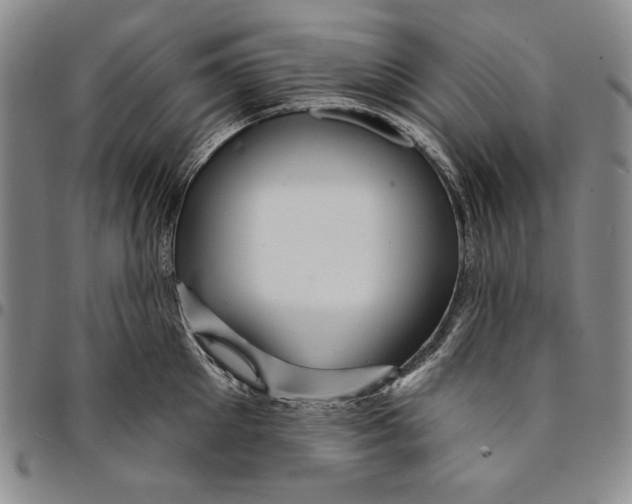X0000094380905200711301358
