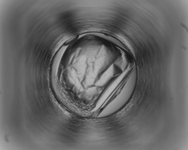X0000094380906200711301358