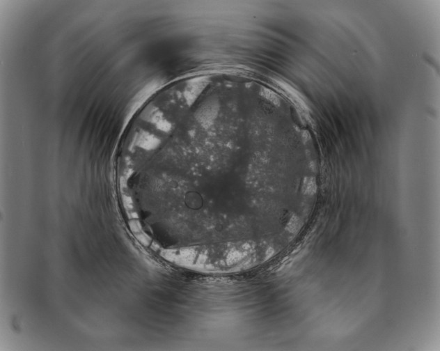 X0000094380907200711301358