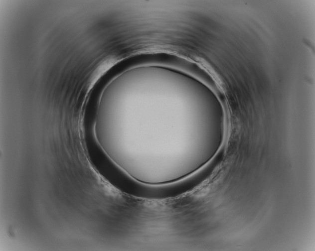 X0000094380909200711301358