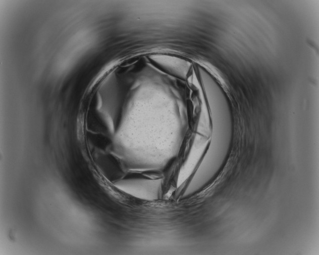 X0000094380910200711301357