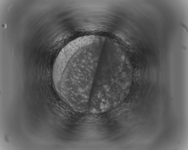 X0000094380917200711301357