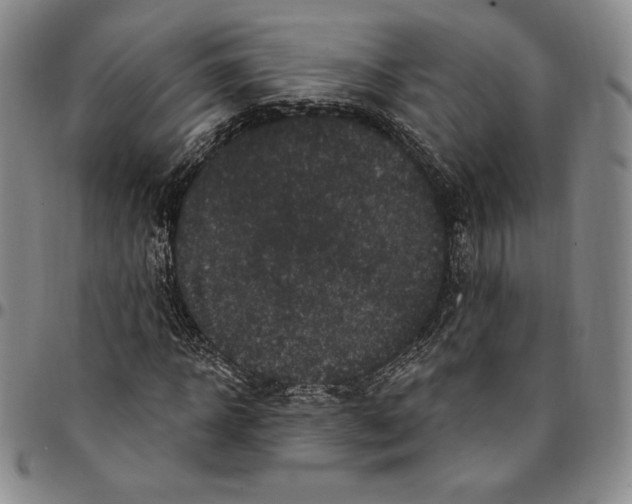X0000094380918200711301357