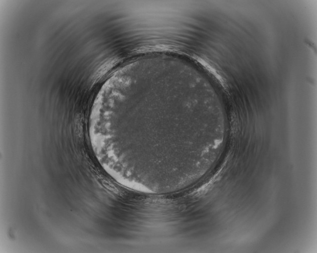 X0000094380921200711301357