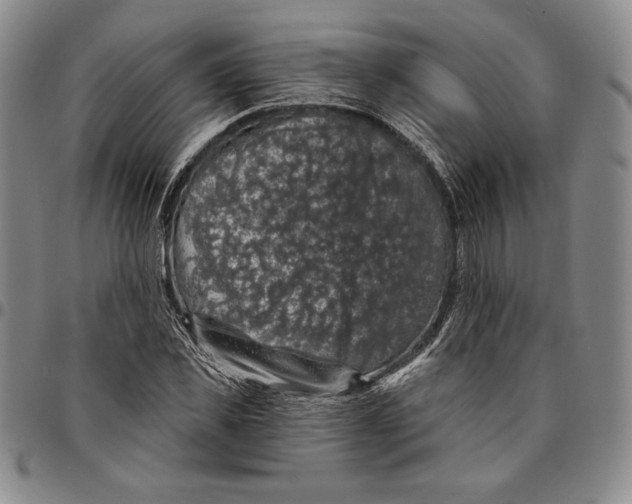 X0000094380925200711301357
