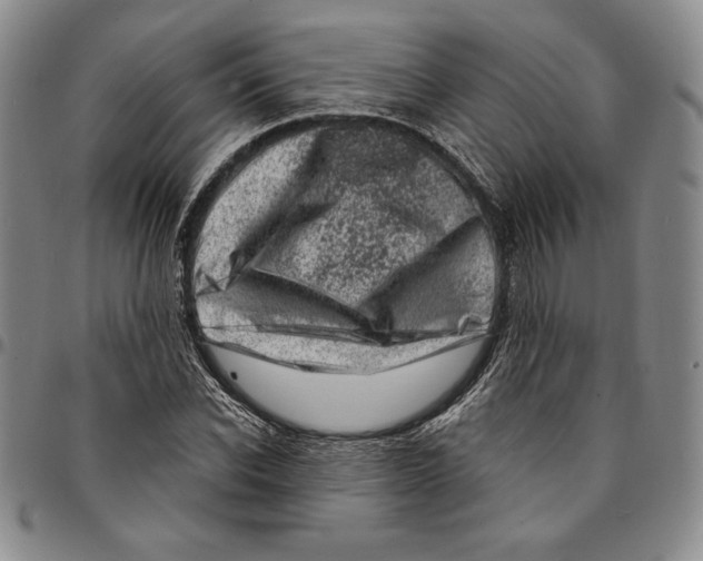 X0000094380926200711301357