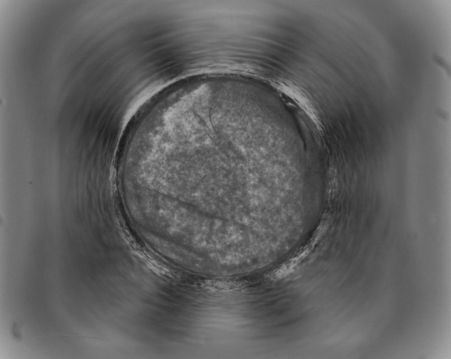 X0000094380928200711301357