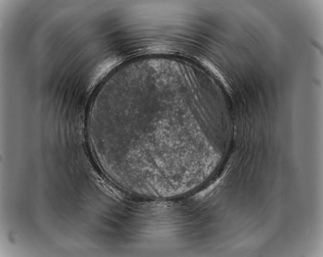 X0000094380930200711301357