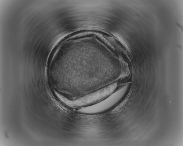 X0000094380932200711301357