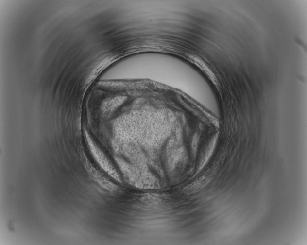 X0000094380938200711301357