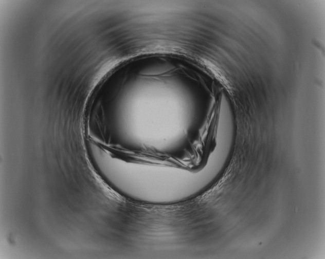 X0000094380942200711301357