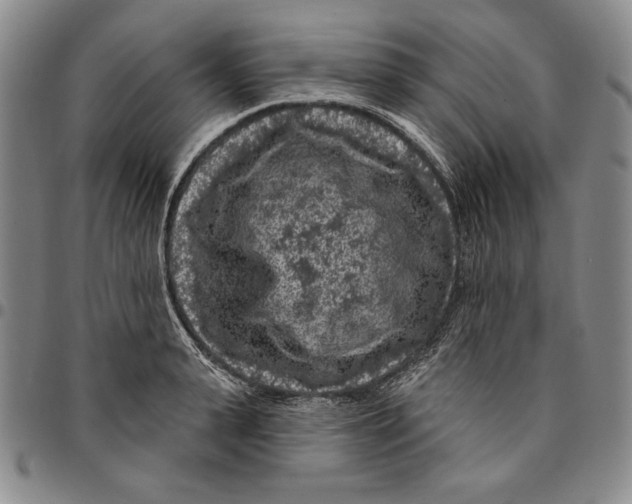X0000094380943200711301357