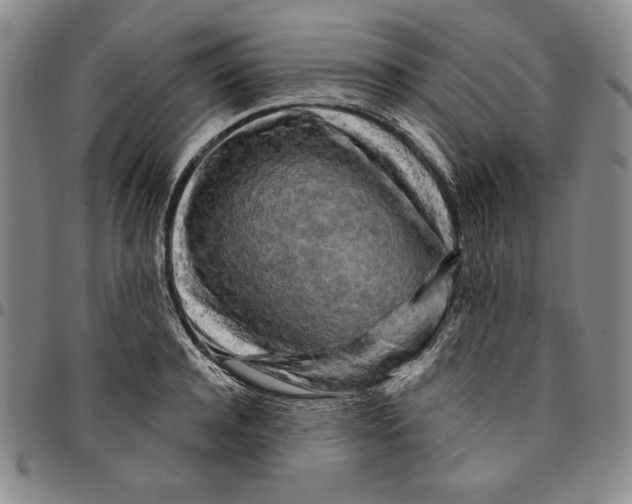 X0000094380944200711301357