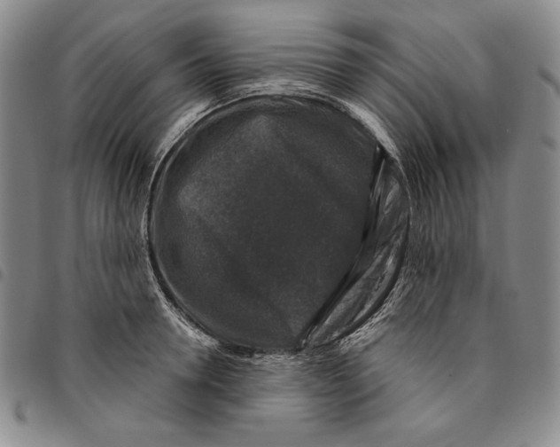 X0000094380946200711301357