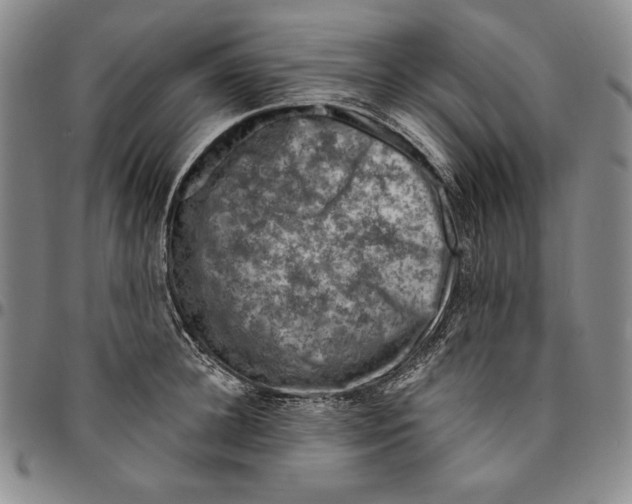X0000094380948200711301357