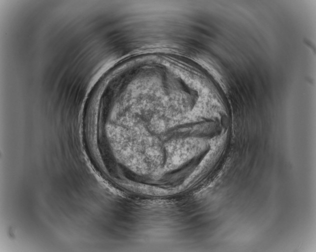 X0000094380949200711301357