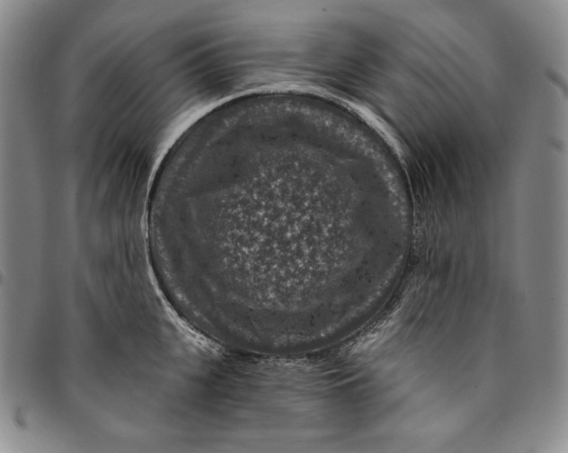 X0000094380951200711301357