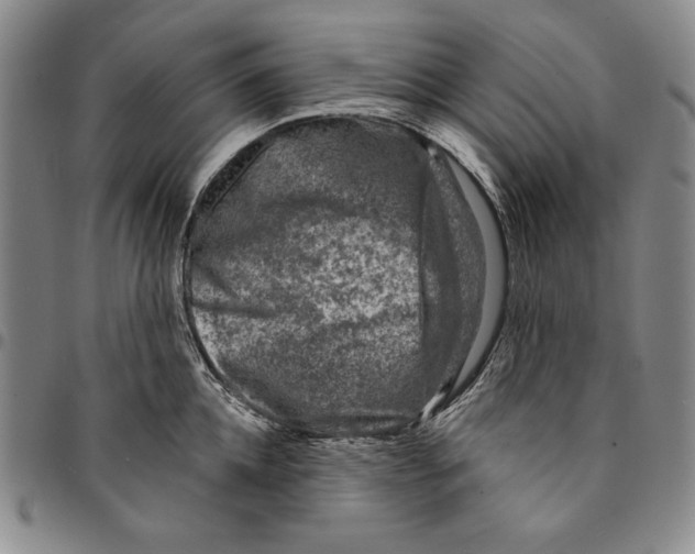 X0000094380952200711301357