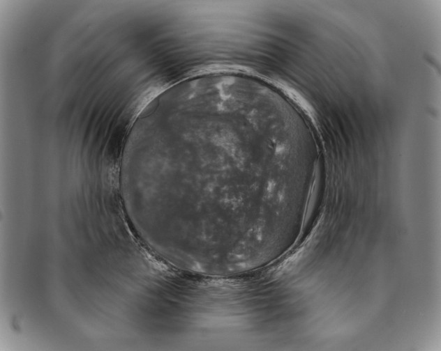 X0000094380953200711301357