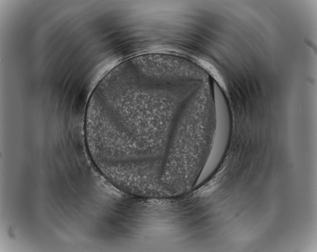 X0000094380954200711301357