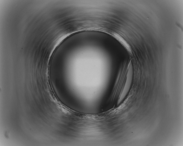 X0000094380956200711301357