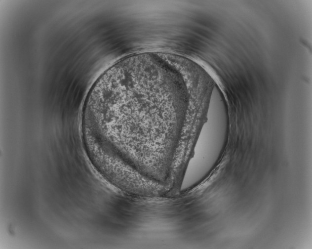 X0000094380957200711301357