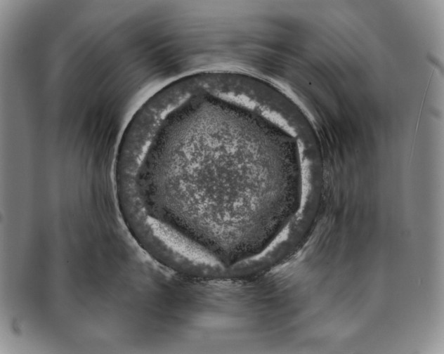 X0000094380959200711301357