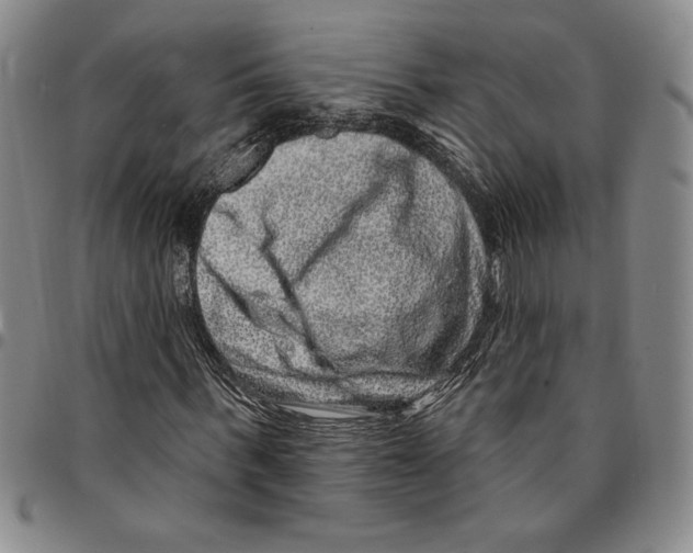 X0000094380963200711301357
