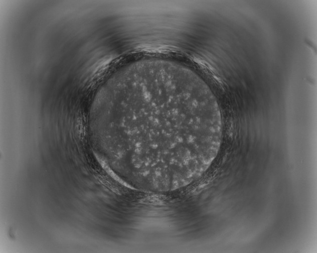 X0000094380966200711301357
