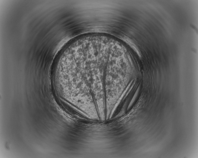 X0000094380972200711301357