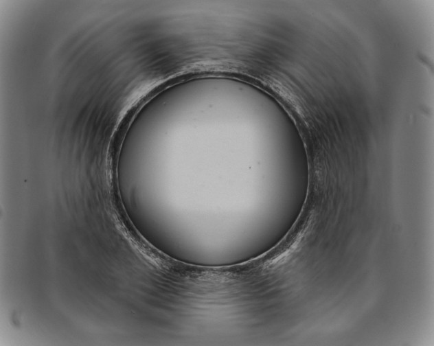 X0000094380981200711301357