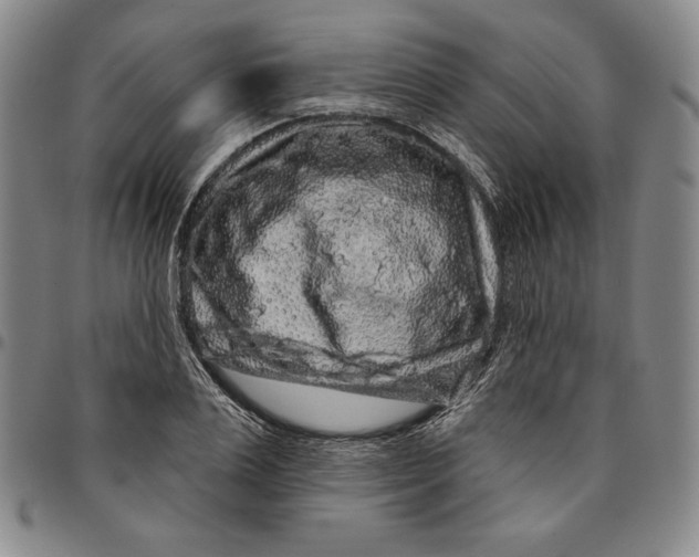 X0000094380983200711301356