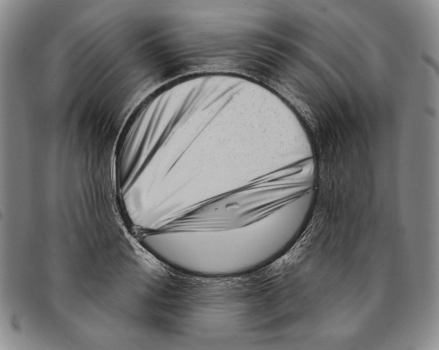 X0000094380988200711301356
