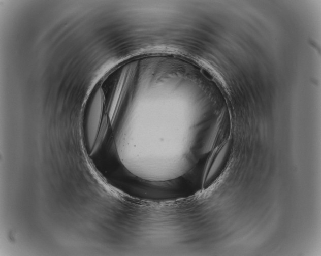 X0000094380989200711301356