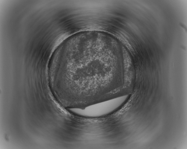 X0000094380990200711301356