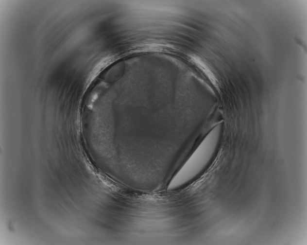 X0000094380994200711301356