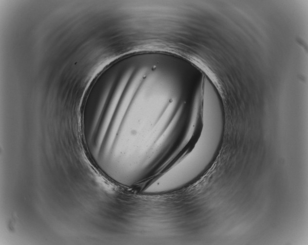 X0000094380996200711301356