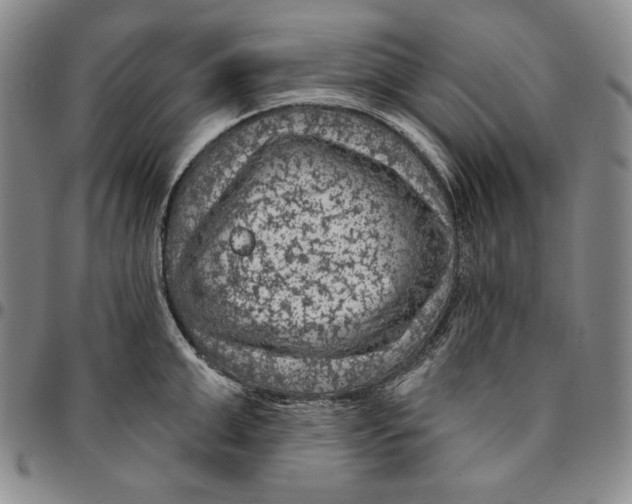 X0000094380999200711301356