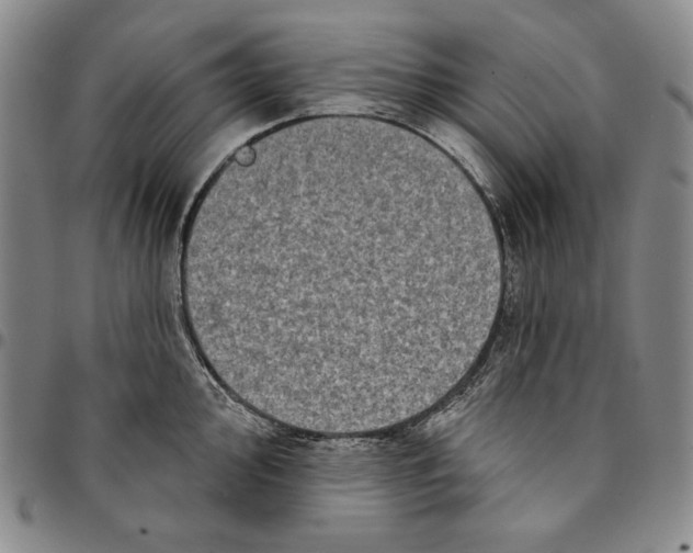 X0000094381000200711301356