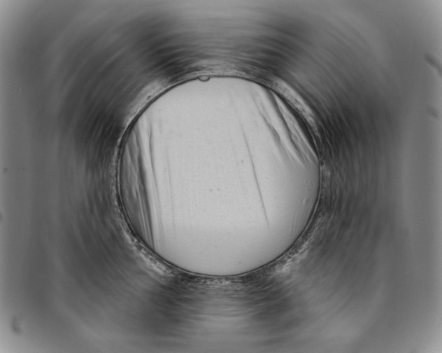 X0000094381002200711301356