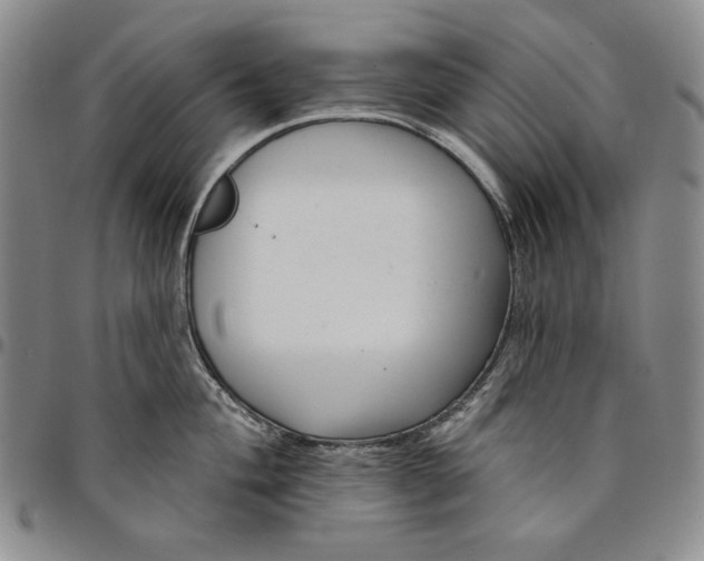 X0000094381004200711301356