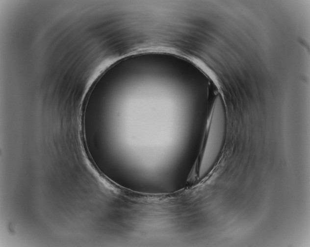 X0000094381005200711301356