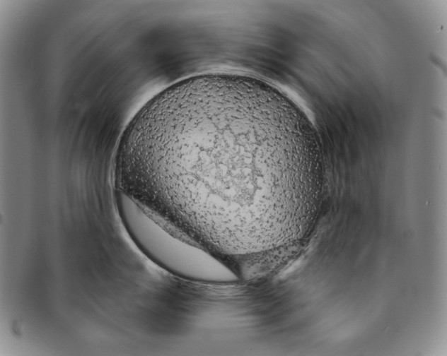 X0000094381007200711301356