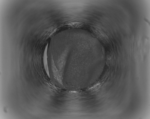 X0000094381010200711301355