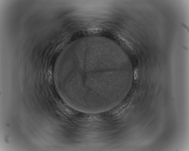 X0000094381011200711301355