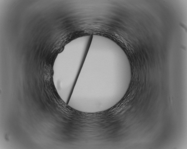 X0000094381012200711301355