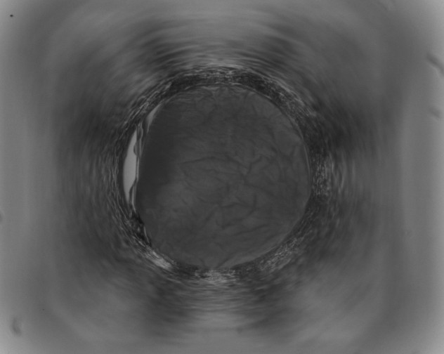 X0000094381013200711301355