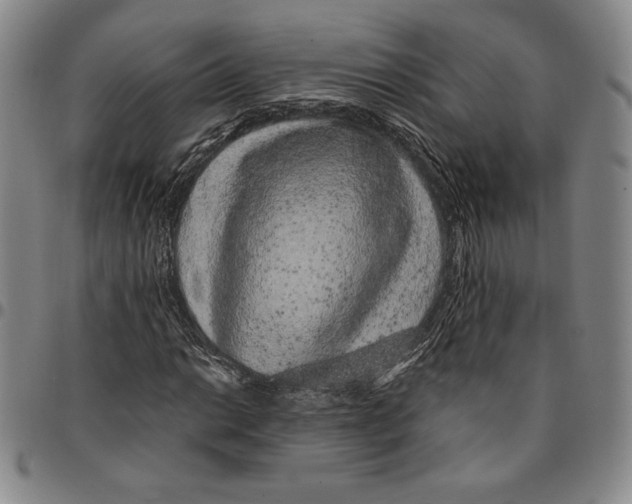 X0000094381014200711301355