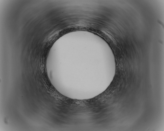 X0000094381015200711301355